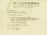 登錄號:F0008798藏品圖，第3張