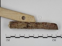 登錄號:F0008799藏品圖，第3張