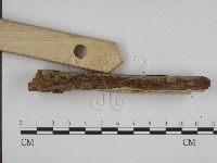 登錄號:F0008799藏品圖，第4張