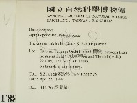 登錄號:F0008800藏品圖，第2張