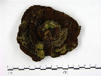 登錄號:F0008801藏品圖，第1張