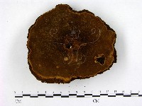 登錄號:F0008801藏品圖，第3張