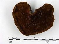 登錄號:F0008802藏品圖，第3張