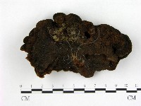 登錄號:F0008804藏品圖，第1張