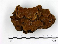 登錄號:F0008804藏品圖，第3張