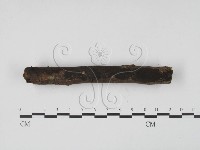 登錄號:F0008806藏品圖，第3張