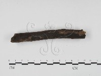 登錄號:F0008806藏品圖，第4張