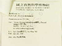 登錄號:F0008807藏品圖，第3張