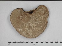 登錄號:F0008807藏品圖，第1張