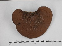 登錄號:F0008807藏品圖，第4張