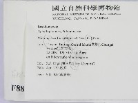 相鄰小孔菌藏品圖，第2張