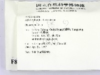 顯絲菌屬藏品圖，第2張