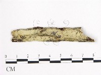 登錄號:F0008814藏品圖，第1張