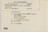 登錄號:F0008814藏品圖，第3張