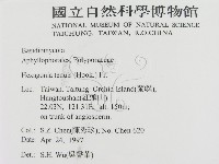 登錄號:F0008815藏品圖，第2張