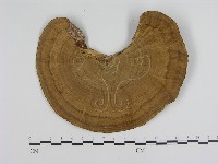 登錄號:F0008815藏品圖，第3張