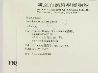 登錄號:F0008816藏品圖，第2張