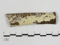 登錄號:F0008816藏品圖，第1張