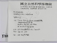 登錄號:F0008817藏品圖，第2張