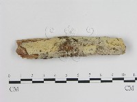 登錄號:F0008817藏品圖，第1張