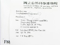 多孔菌屬藏品圖，第2張