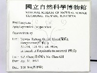 登錄號:F0008823藏品圖，第2張