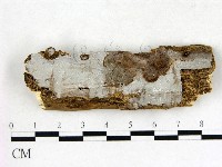 登錄號:F0008823藏品圖，第1張