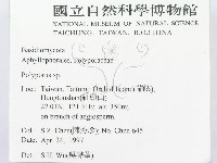 多孔菌屬藏品圖，第2張