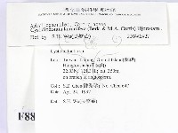 登錄號:F0008827藏品圖，第2張
