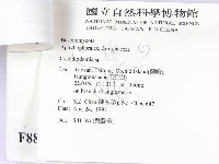 登錄號:F0008827藏品圖，第3張