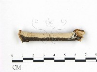 登錄號:F0008827藏品圖，第1張