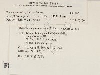 登錄號:F0008828藏品圖，第2張