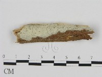 登錄號:F0008828藏品圖，第1張