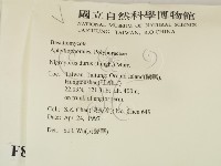 登錄號:F0008829藏品圖，第2張