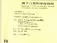 登錄號:F0008831藏品圖，第2張
