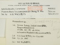 登錄號:F0008832藏品圖，第2張