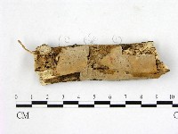 登錄號:F0008832藏品圖，第1張