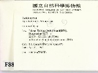 登錄號:F0008834藏品圖，第2張