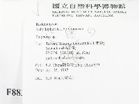 多孔菌屬藏品圖，第2張