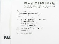 多孔菌屬藏品圖，第2張