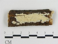 登錄號:F0008842藏品圖，第1張