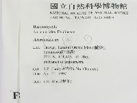 刺皮菌屬藏品圖，第2張