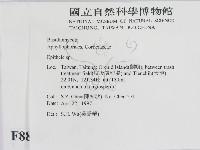 登錄號:F0008846藏品圖，第2張