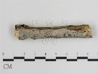 登錄號:F0008846藏品圖，第1張