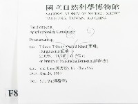 孔韌菌屬藏品圖，第2張