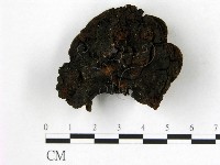 登錄號:F0008848藏品圖，第1張