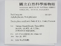 登錄號:F0008851藏品圖，第2張