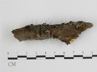 登錄號:F0008851藏品圖，第1張