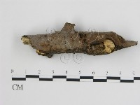 登錄號:F0008851藏品圖，第3張
