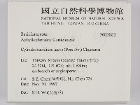 登錄號:F0008852藏品圖，第2張